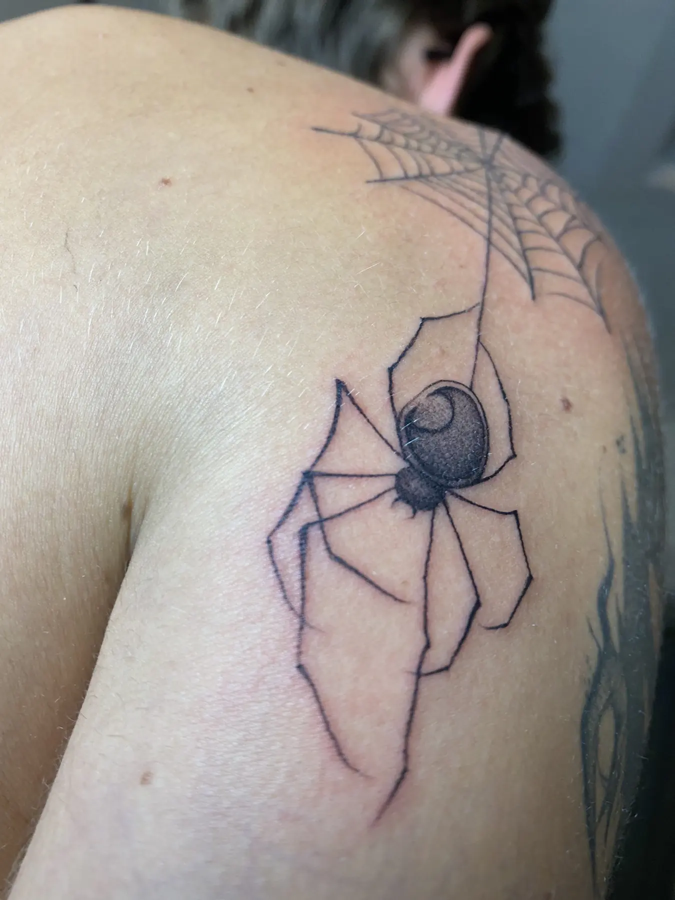 Fine line tattoo of a spider with a dotwork body hanging by a thread from a web on the shoulder, Vienna