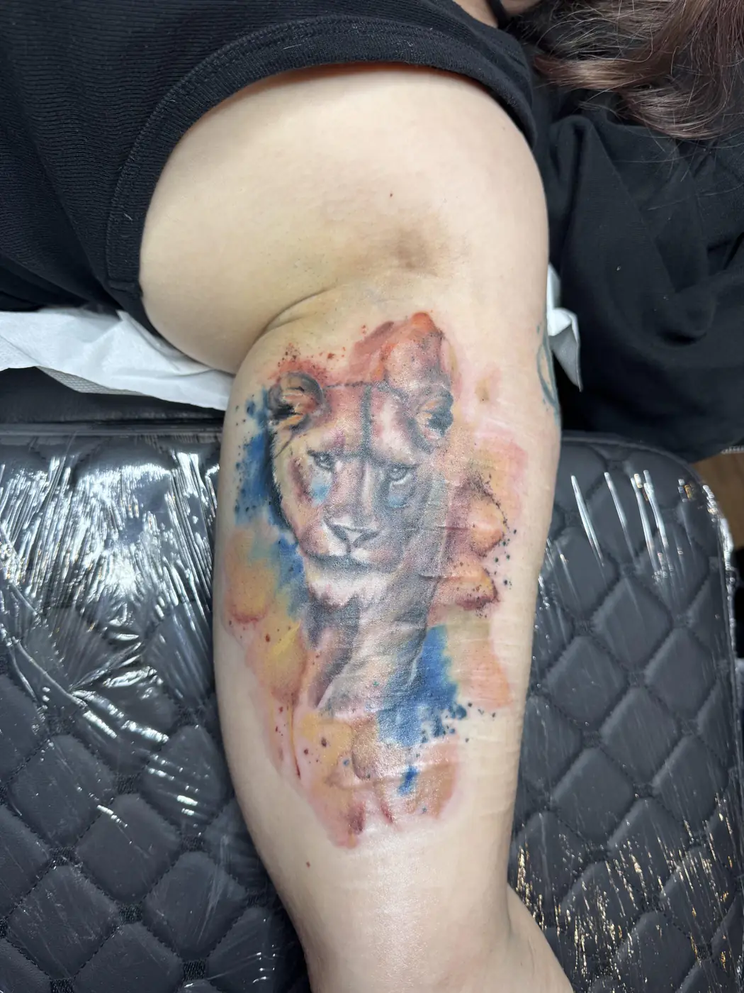 Watercolour tattoo of a lioness with blue and orange aquarelle washes on the back of the upper arm, tattoo Vienna