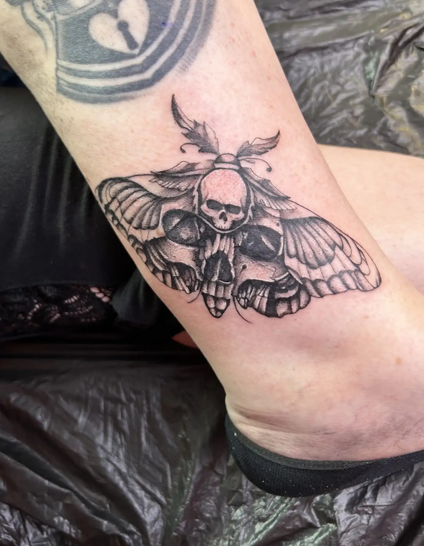 Moth with a skull marking. Tattoo at Ink21 in Vienna.