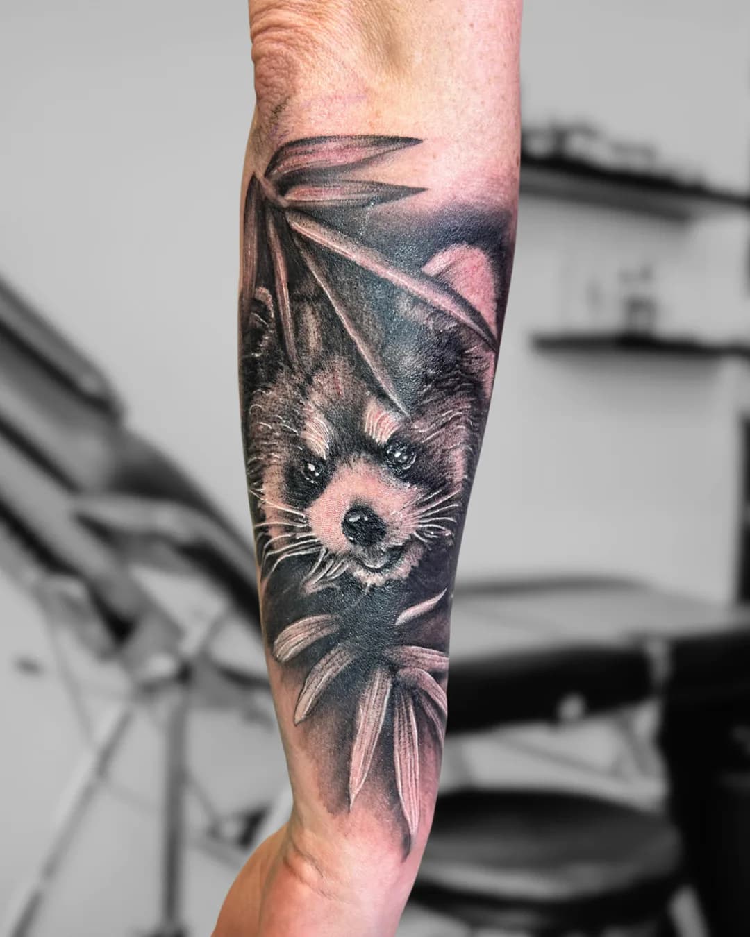Raccoon among large leaves. Tattoo at Ink21 in Vienna.