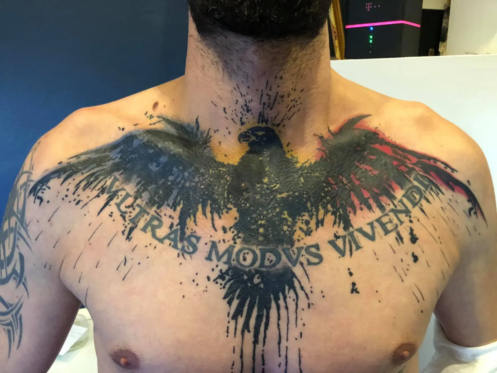 Eagle with spread wings. Tattoo at Ink21 in Vienna.