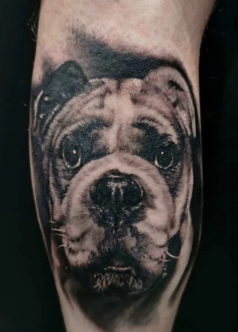 Bulldog portrait in shades of grey. Tattoo at Ink21 in Vienna.
