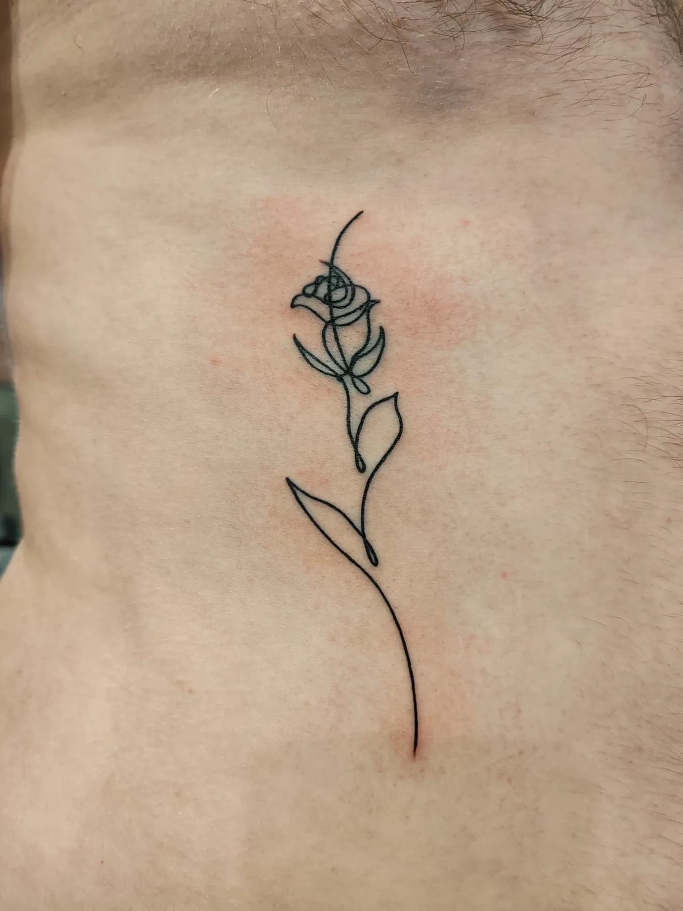 Single rose in fine outlines. Tattoo at Ink21 in Vienna.