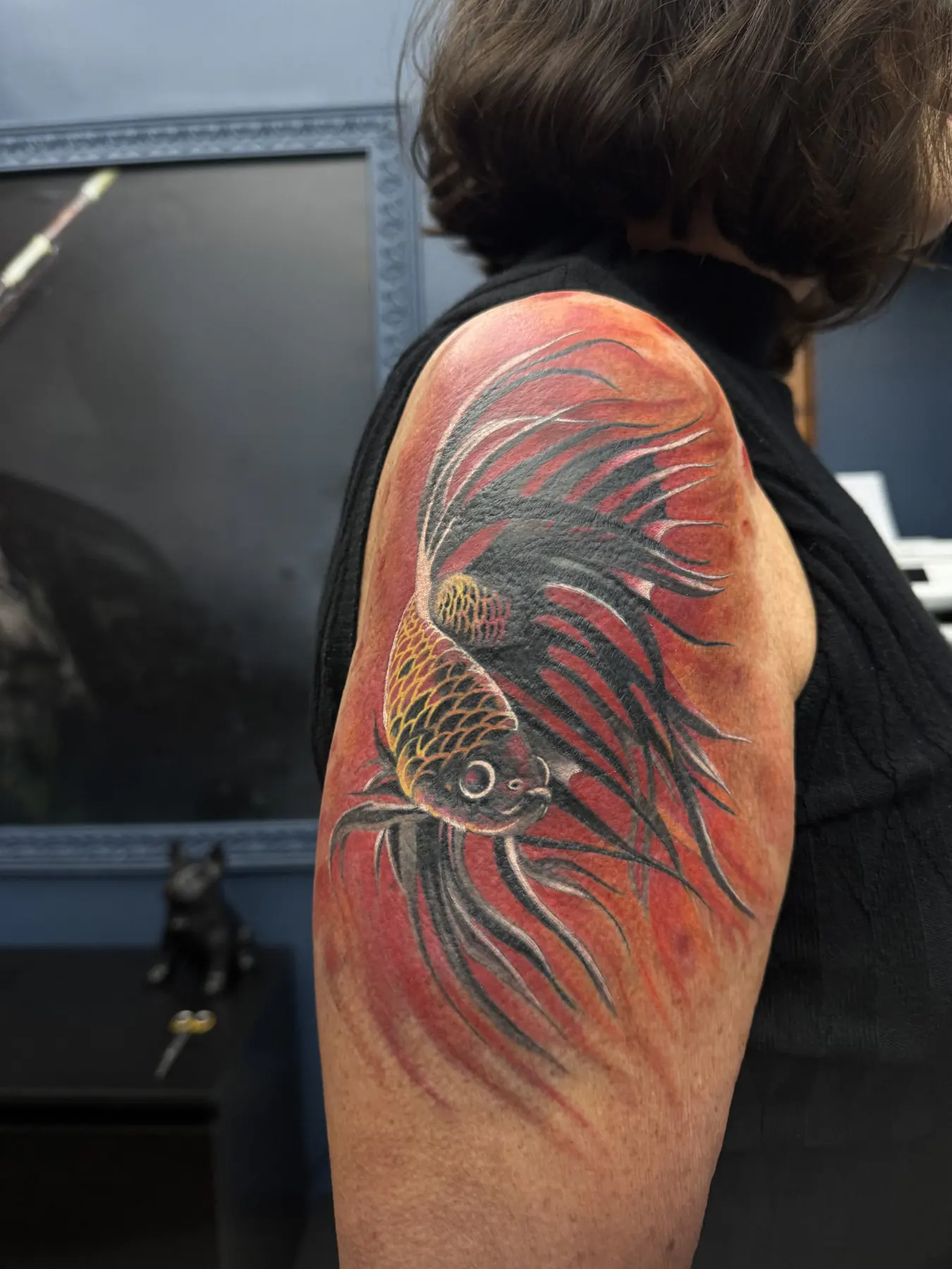 Colourful bird wing on the shoulder. Tattoo at Ink21 in Vienna.