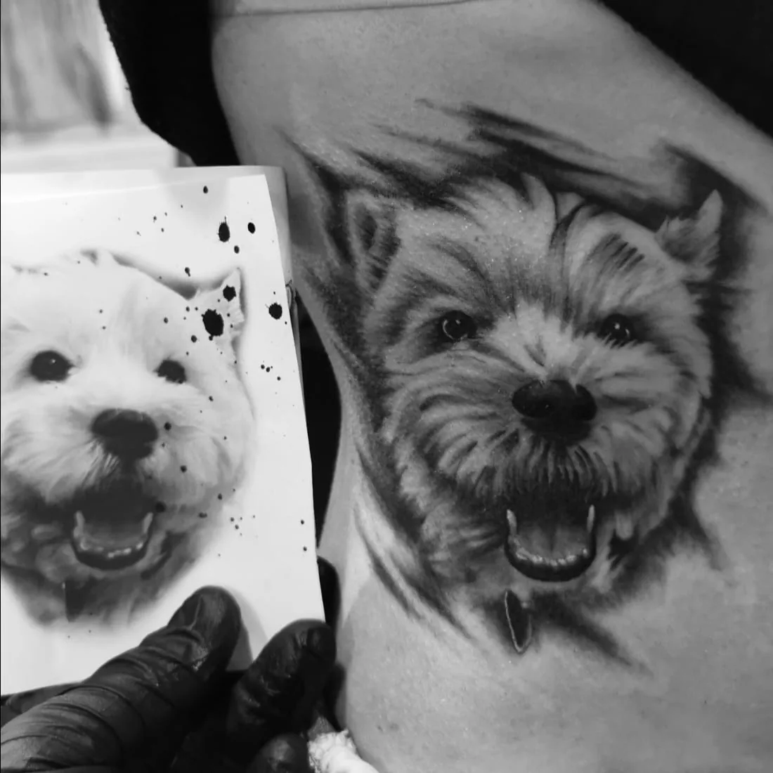 Dog portrait beside its photo reference. Tattoo at Ink21 in Vienna.