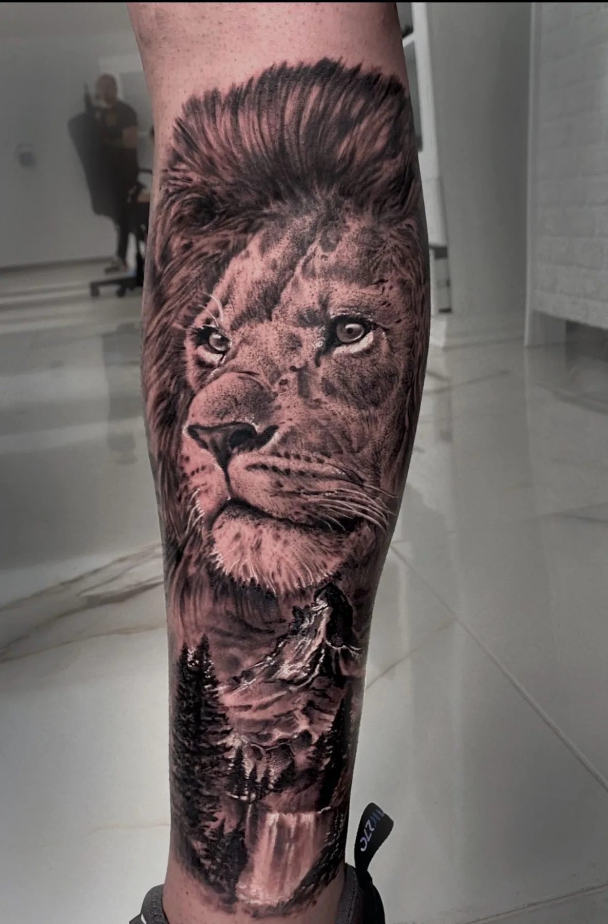 Lion portrait on the lower leg. Tattoo at Ink21 in Vienna.