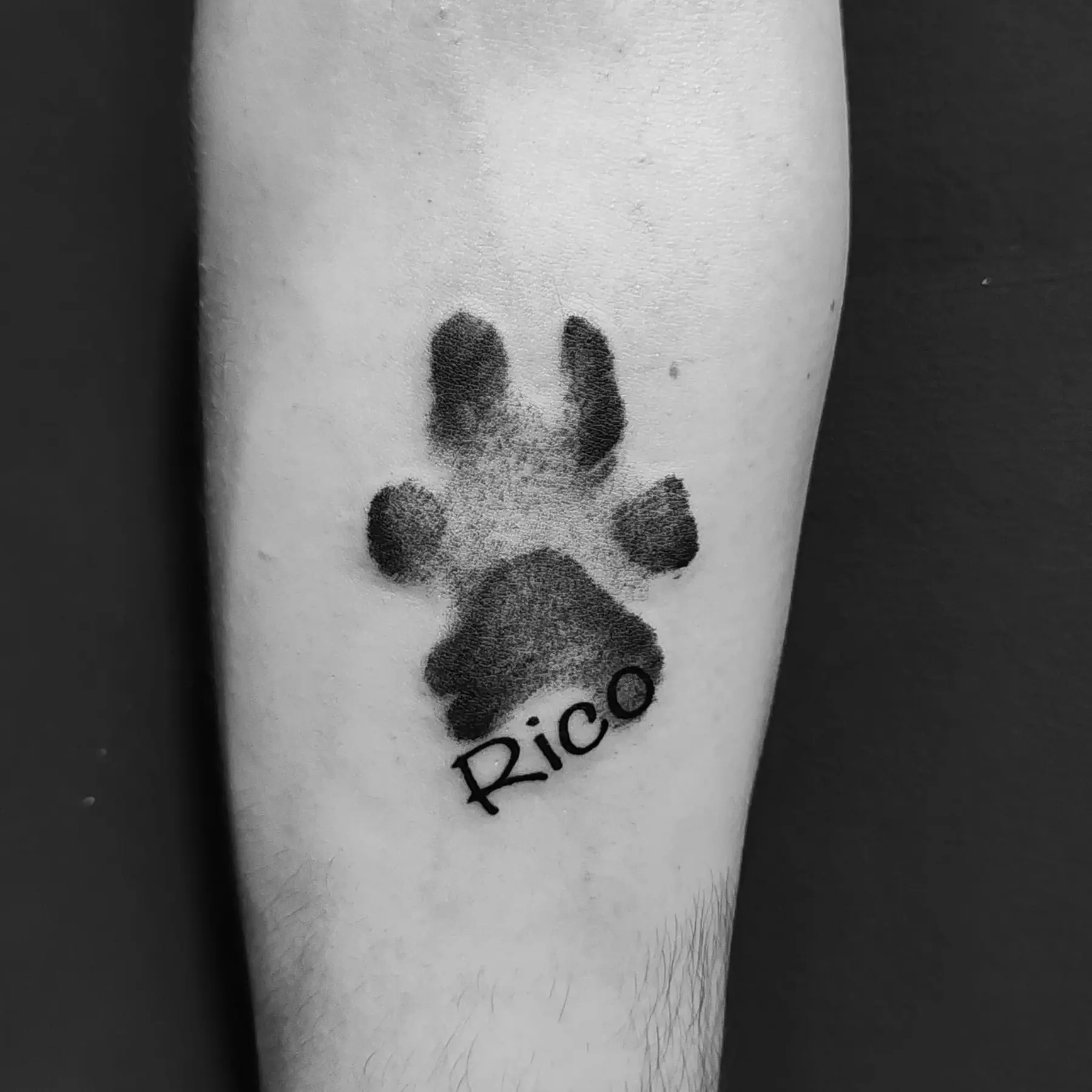 Paw print with Rico lettering. Tattoo at Ink21 in Vienna.