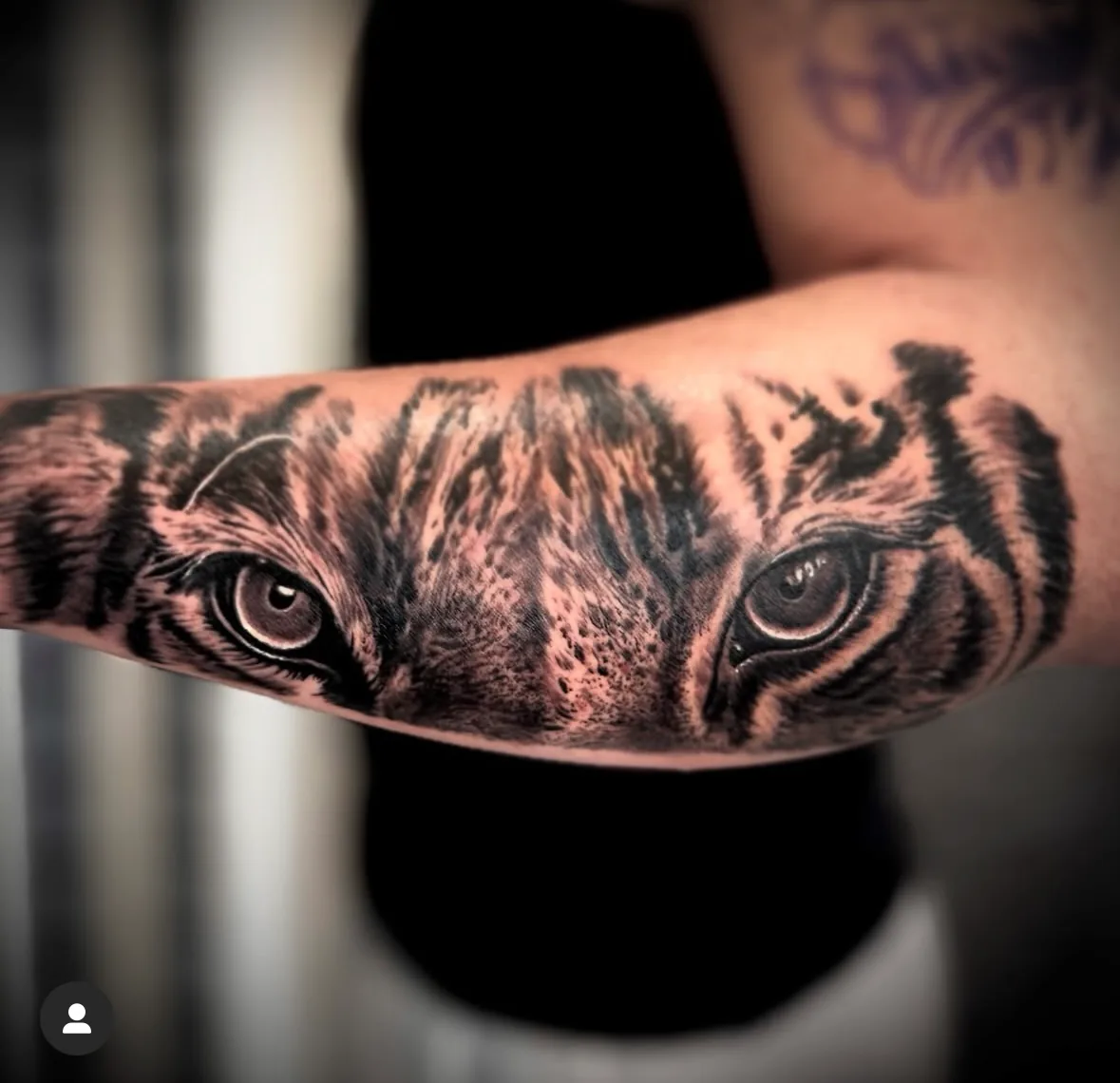Tiger eyes across the forearm. Tattoo at Ink21 in Vienna.